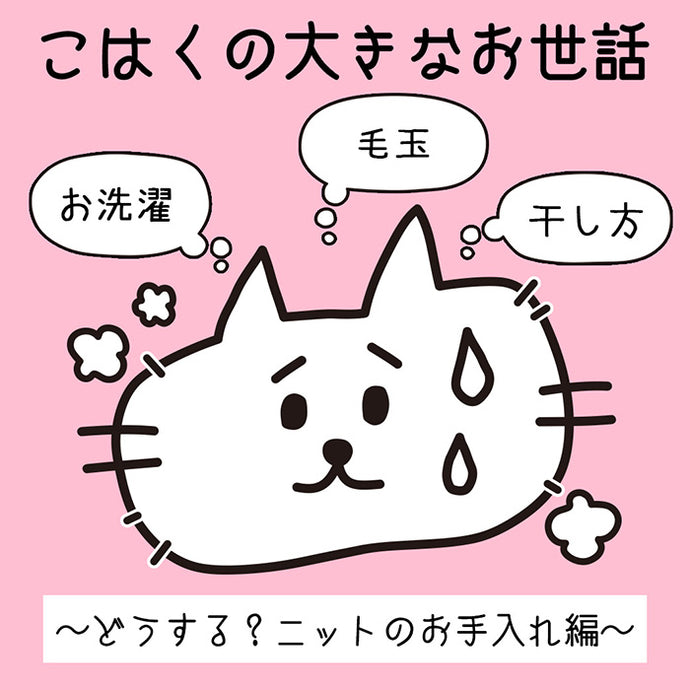 こはくの大きなお世話企画（ニットのお手入れ編）