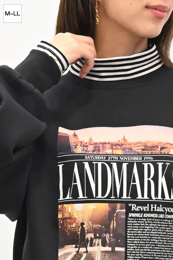 ニコニコボーダータートル