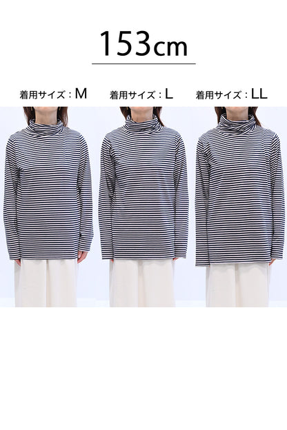 ニコニコねじれボーダータートル