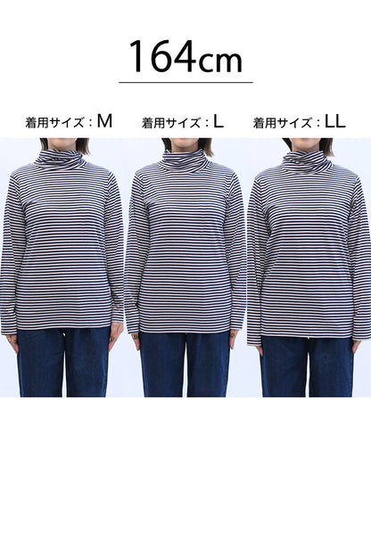 ニコニコねじれボーダータートル