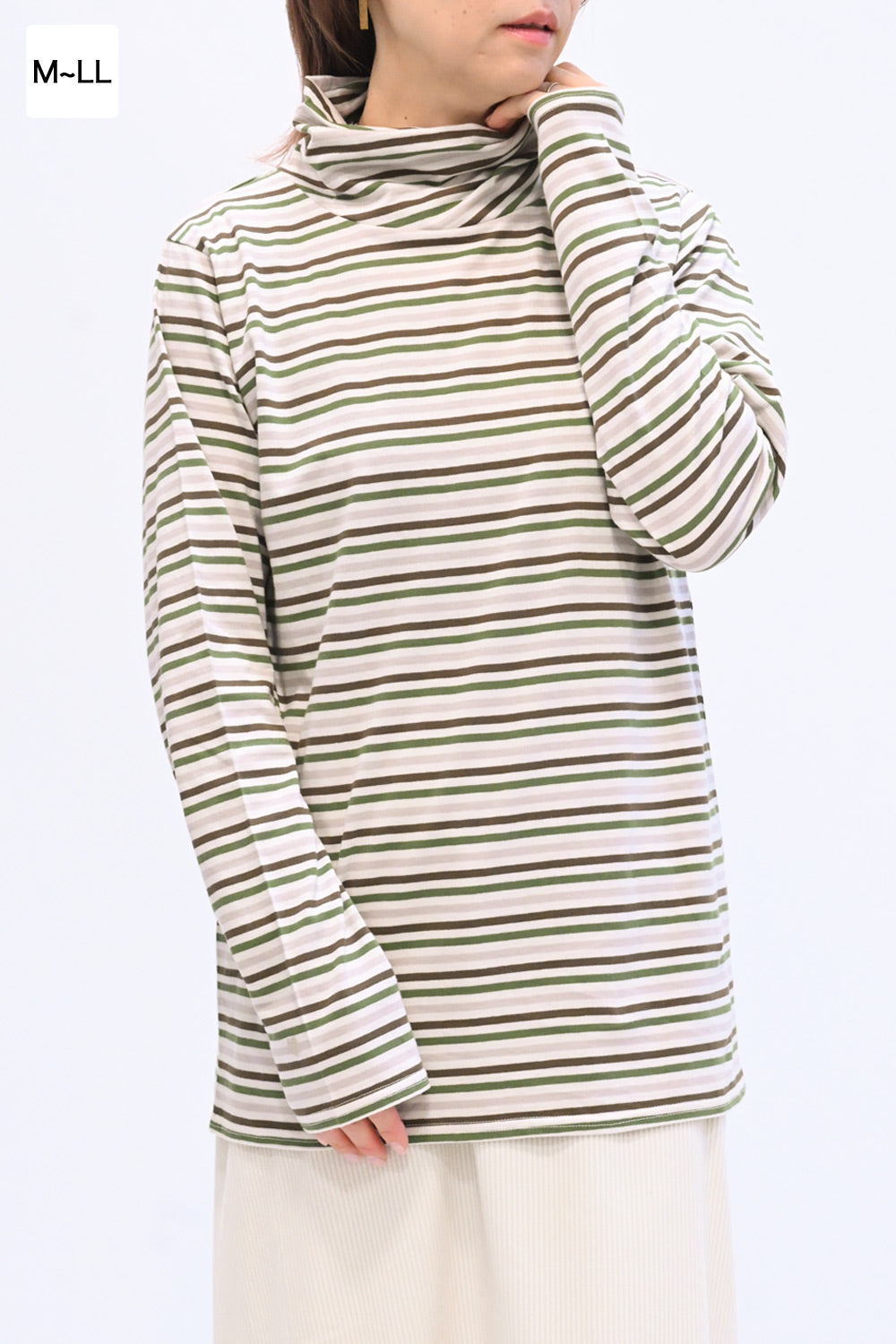 ニコニコねじれボーダータートル