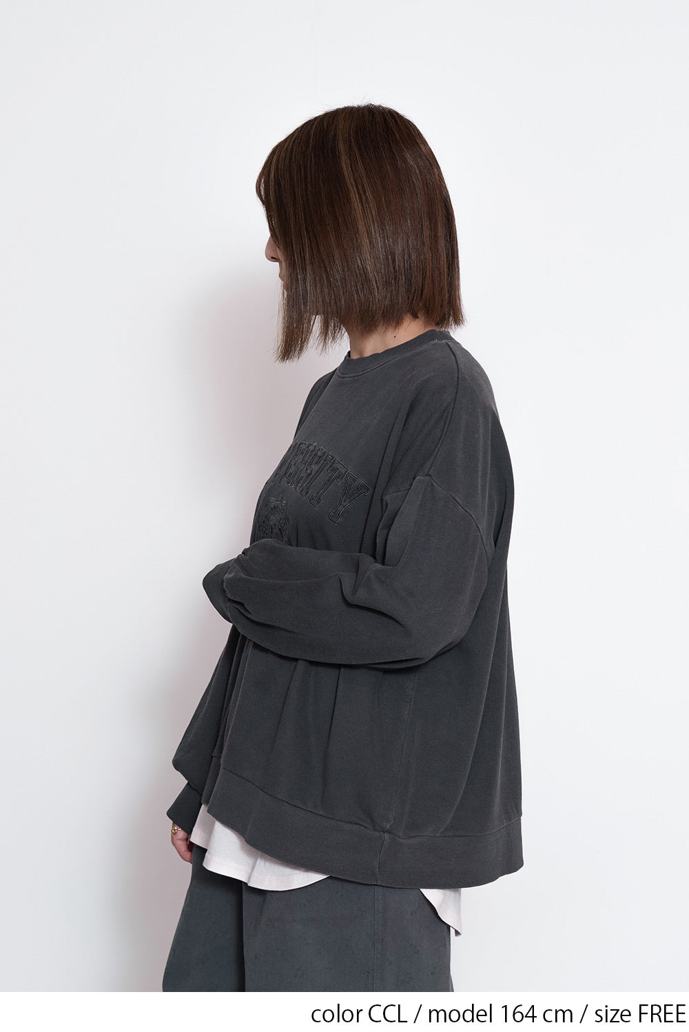 ≪SALE≫College Embroidery Pigment Brushed Fleece Sweatshirt
