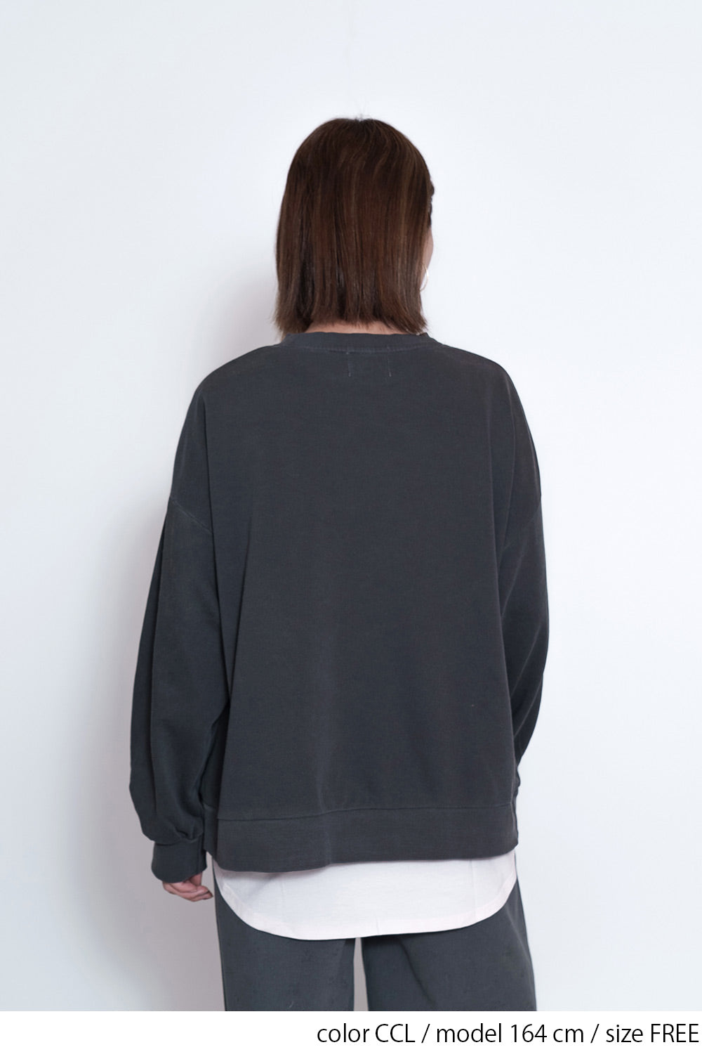 ≪SALE≫College Embroidery Pigment Brushed Fleece Sweatshirt