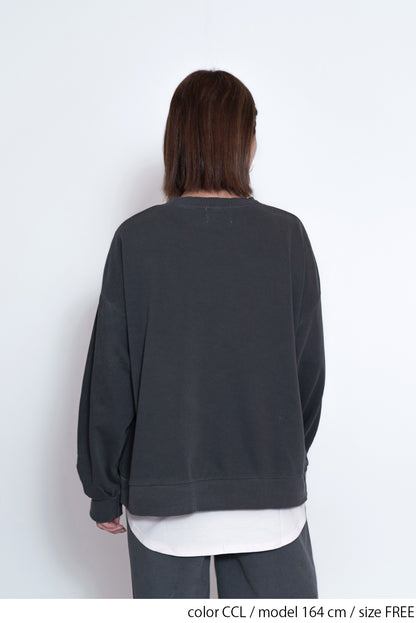 ≪SALE≫College Embroidery Pigment Brushed Fleece Sweatshirt