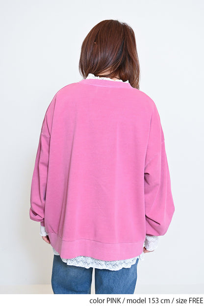 ≪SALE≫College Embroidery Pigment Brushed Fleece Sweatshirt