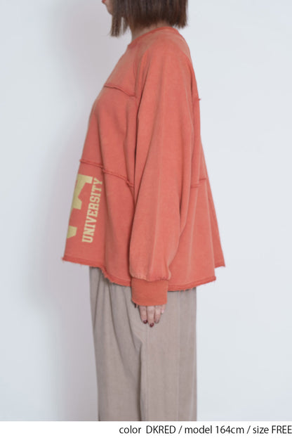 ≪SALE≫Brushed Fleece Patchwork Logo Sweatshirt