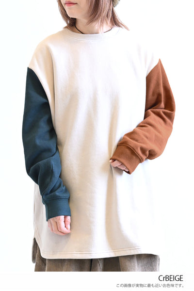 CrBEIGE