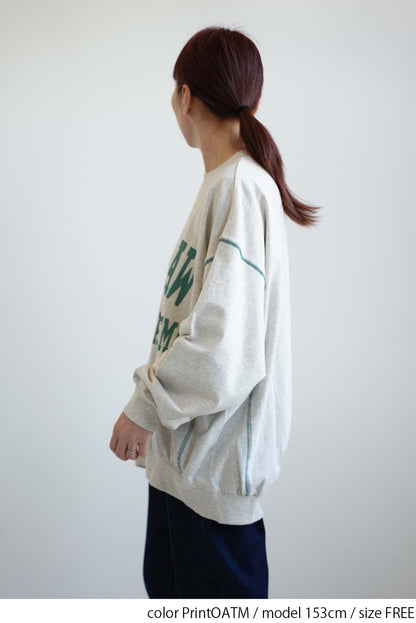 Fleece Logo Color-Blocked Stitch Big Pullover