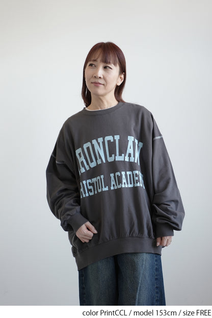 Fleece Logo Color-Blocked Stitch Big Pullover