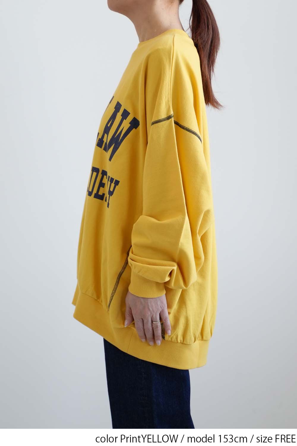 Fleece Logo Color-Blocked Stitch Big Pullover