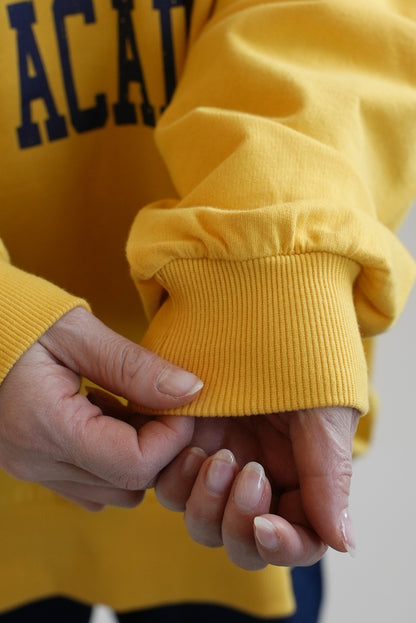 Fleece Logo Color-Blocked Stitch Big Pullover