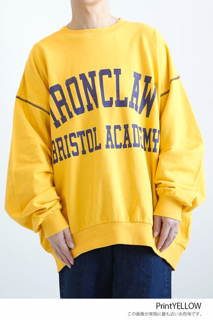 Fleece Logo Color-Blocked Stitch Big Pullover