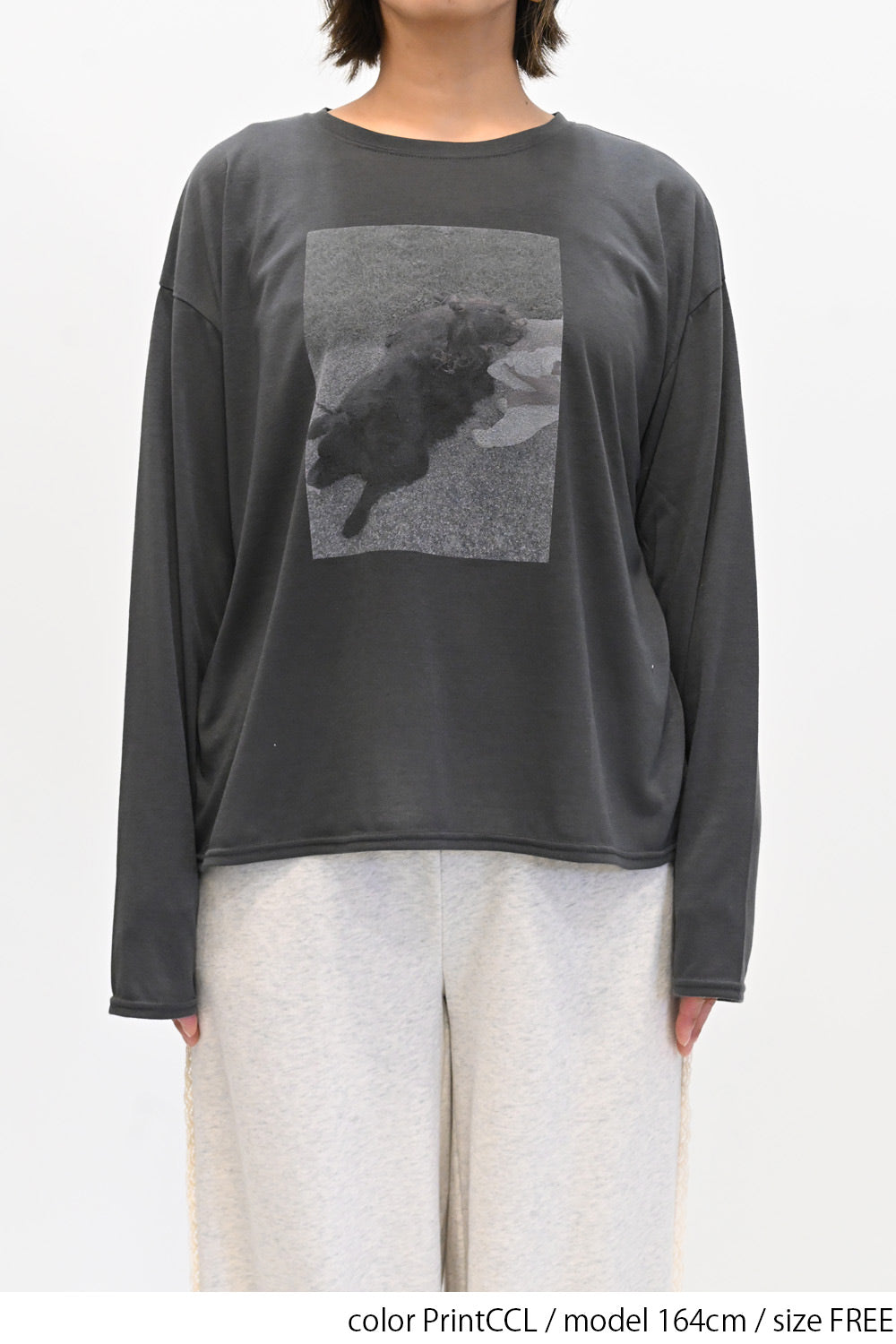 フォトTEE