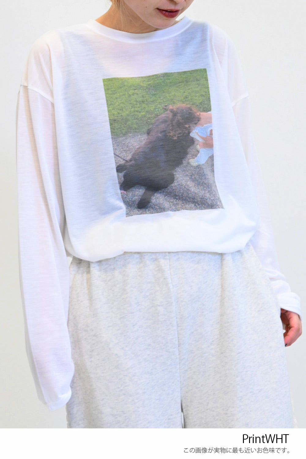 フォトTEE
