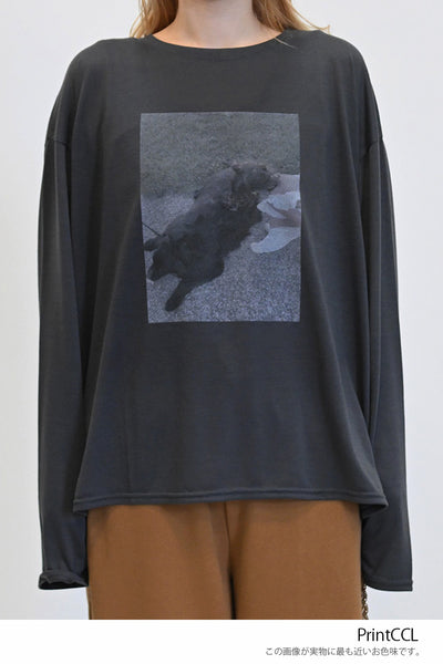 PrintCCL
