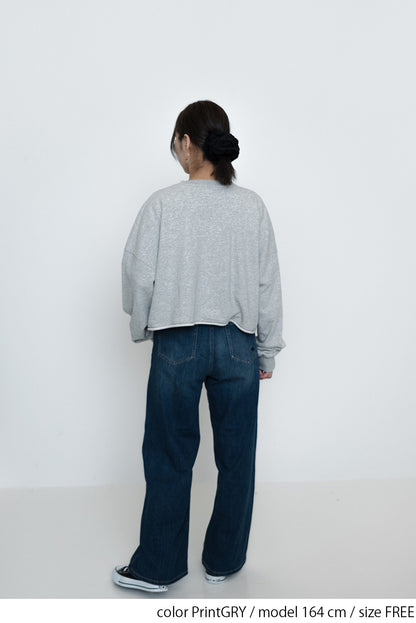 Vネックエンブレム刺繍プルオーバー