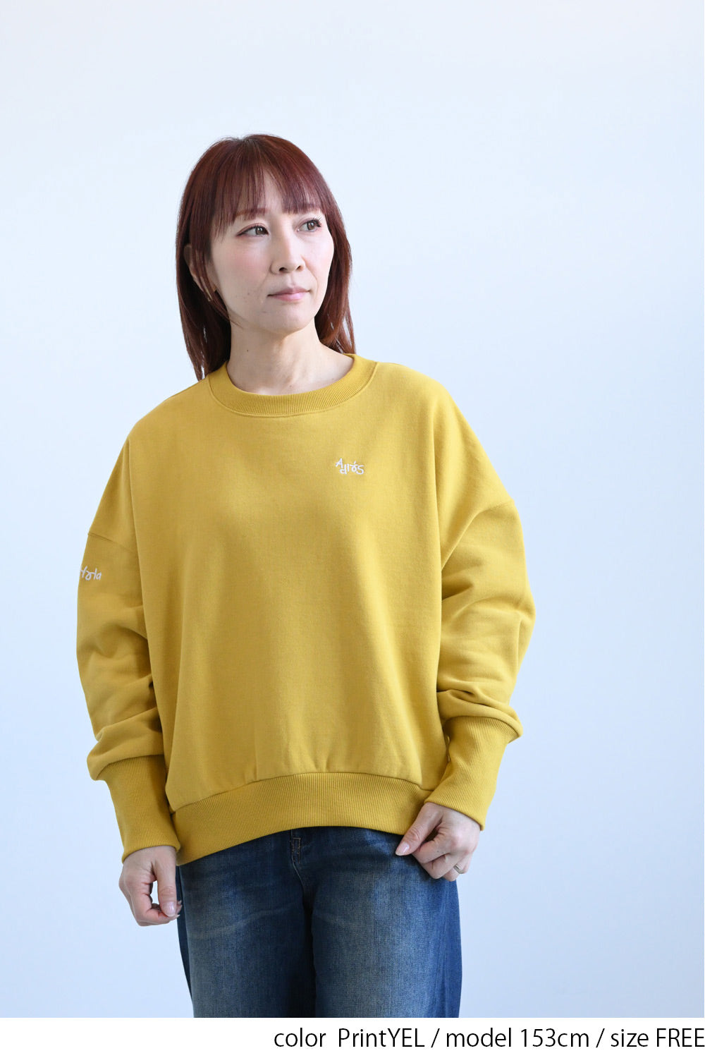 ≪SALE≫Embroidered Brushed Pullover