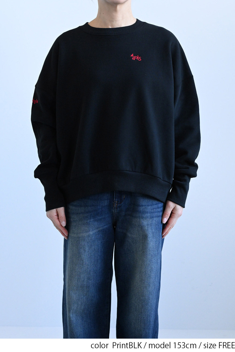 ≪SALE≫Embroidered Brushed Pullover