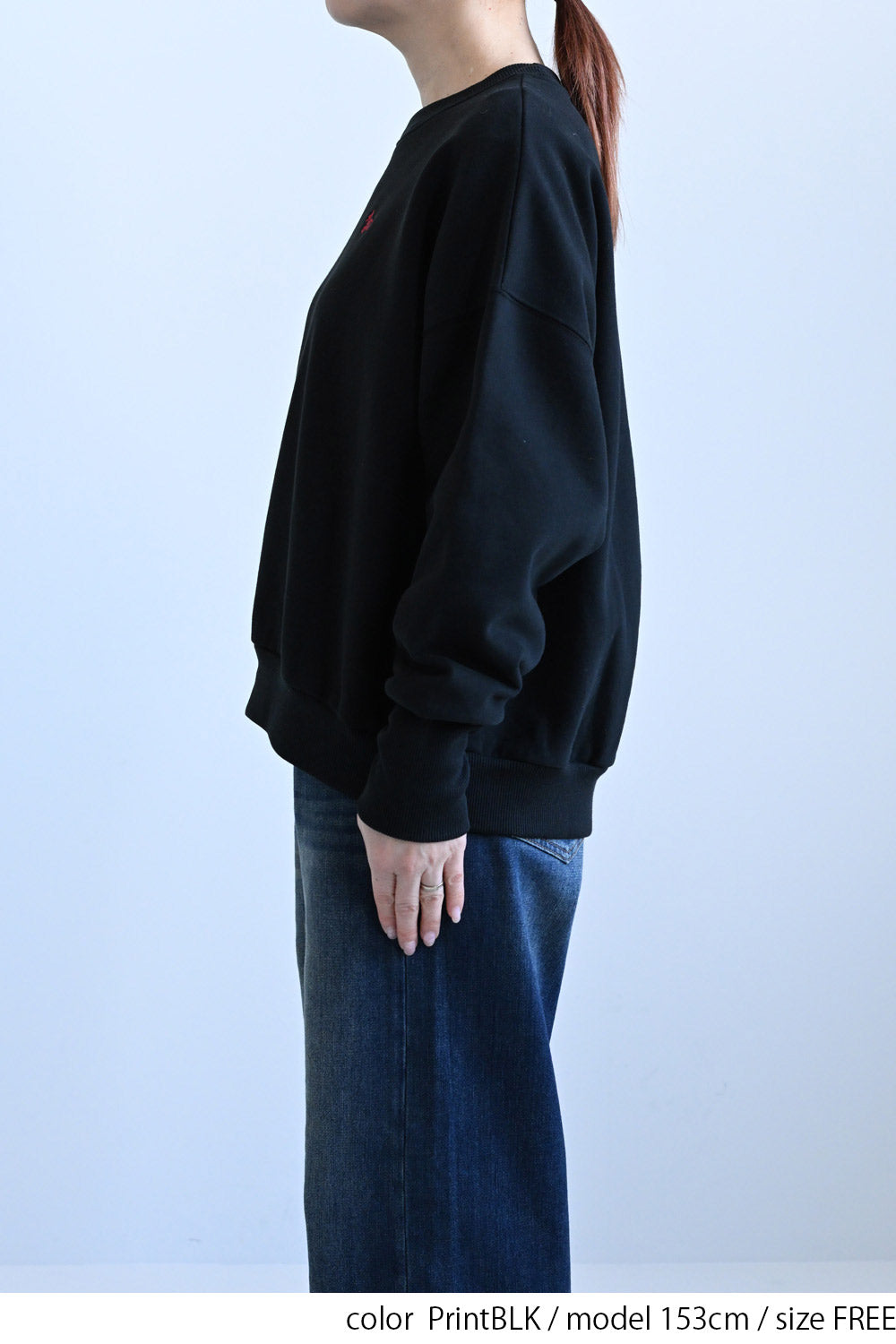 ≪SALE≫Embroidered Brushed Pullover