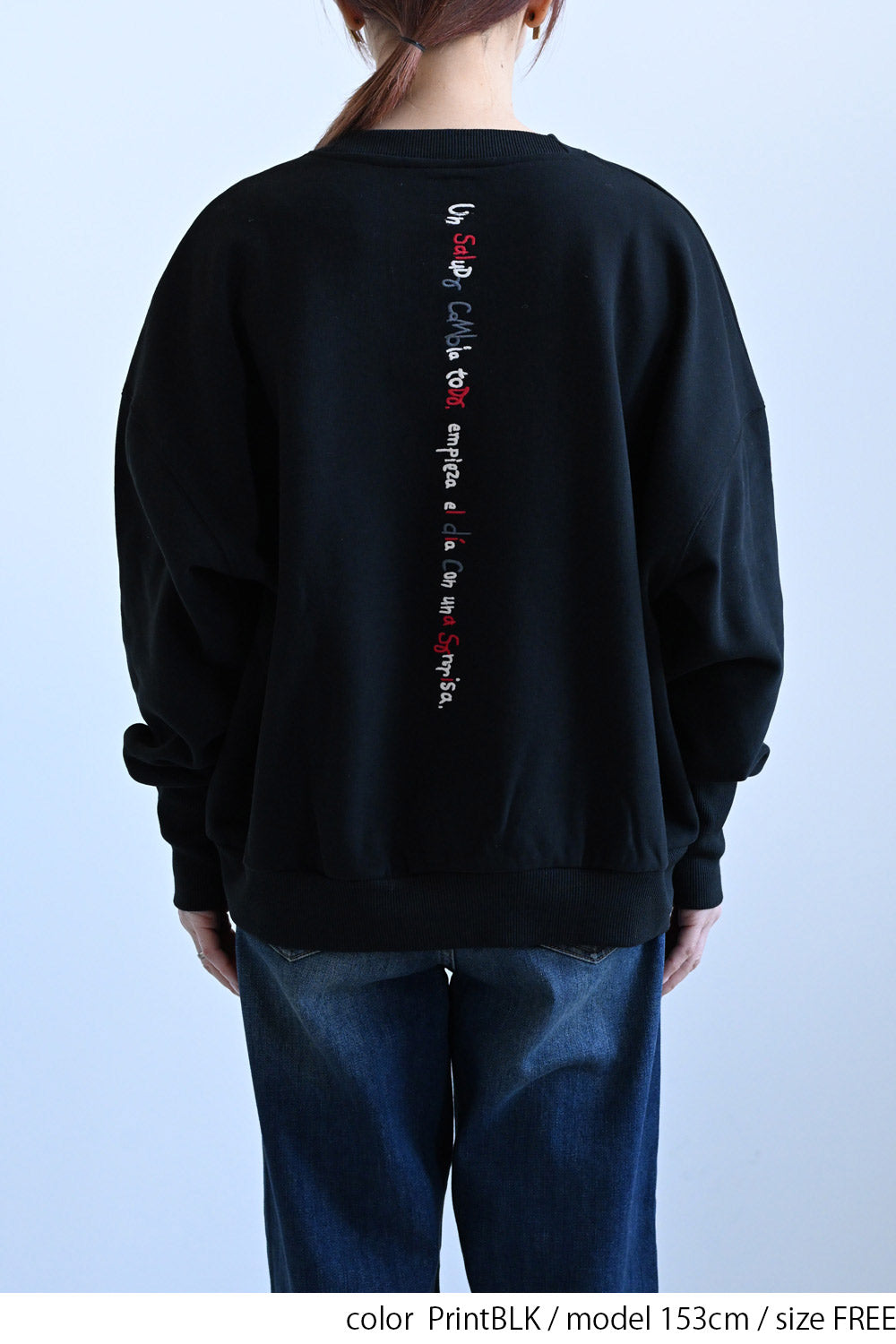 ≪SALE≫Embroidered Brushed Pullover