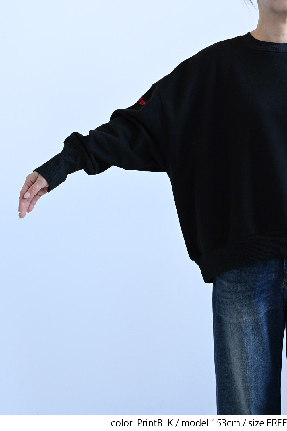≪SALE≫Embroidered Brushed Pullover