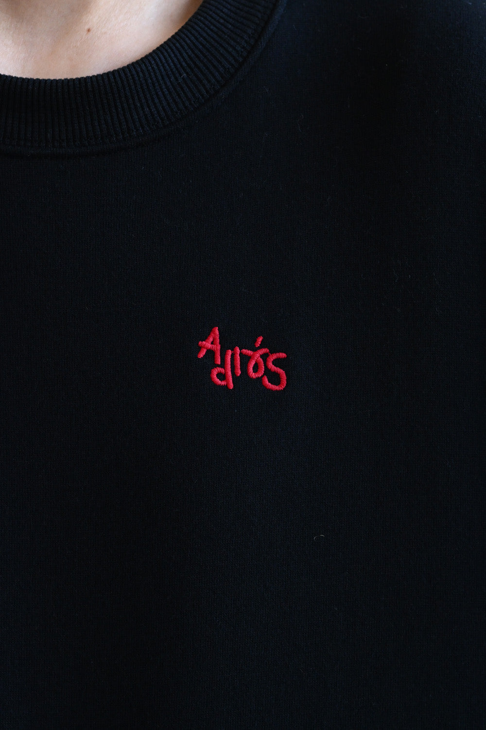 ≪SALE≫Embroidered Brushed Pullover