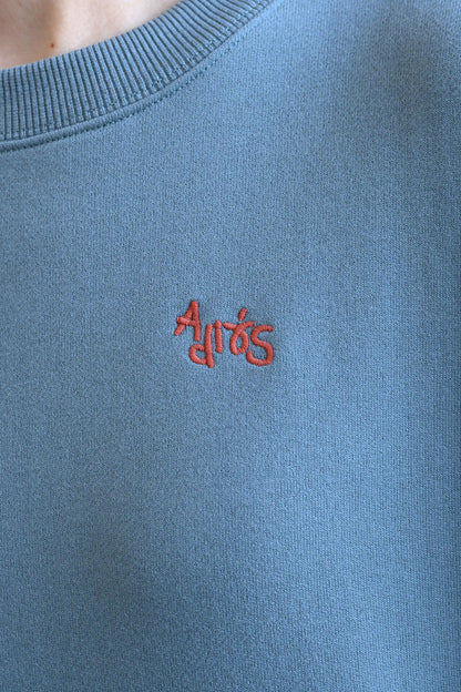 ≪SALE≫Embroidered Brushed Pullover