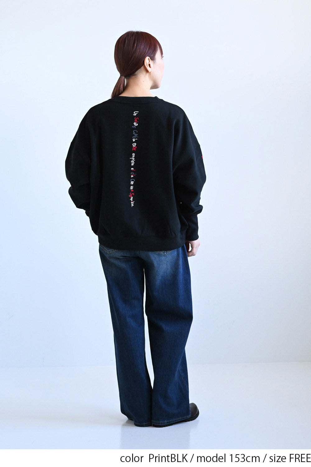 ≪SALE≫Embroidered Brushed Pullover