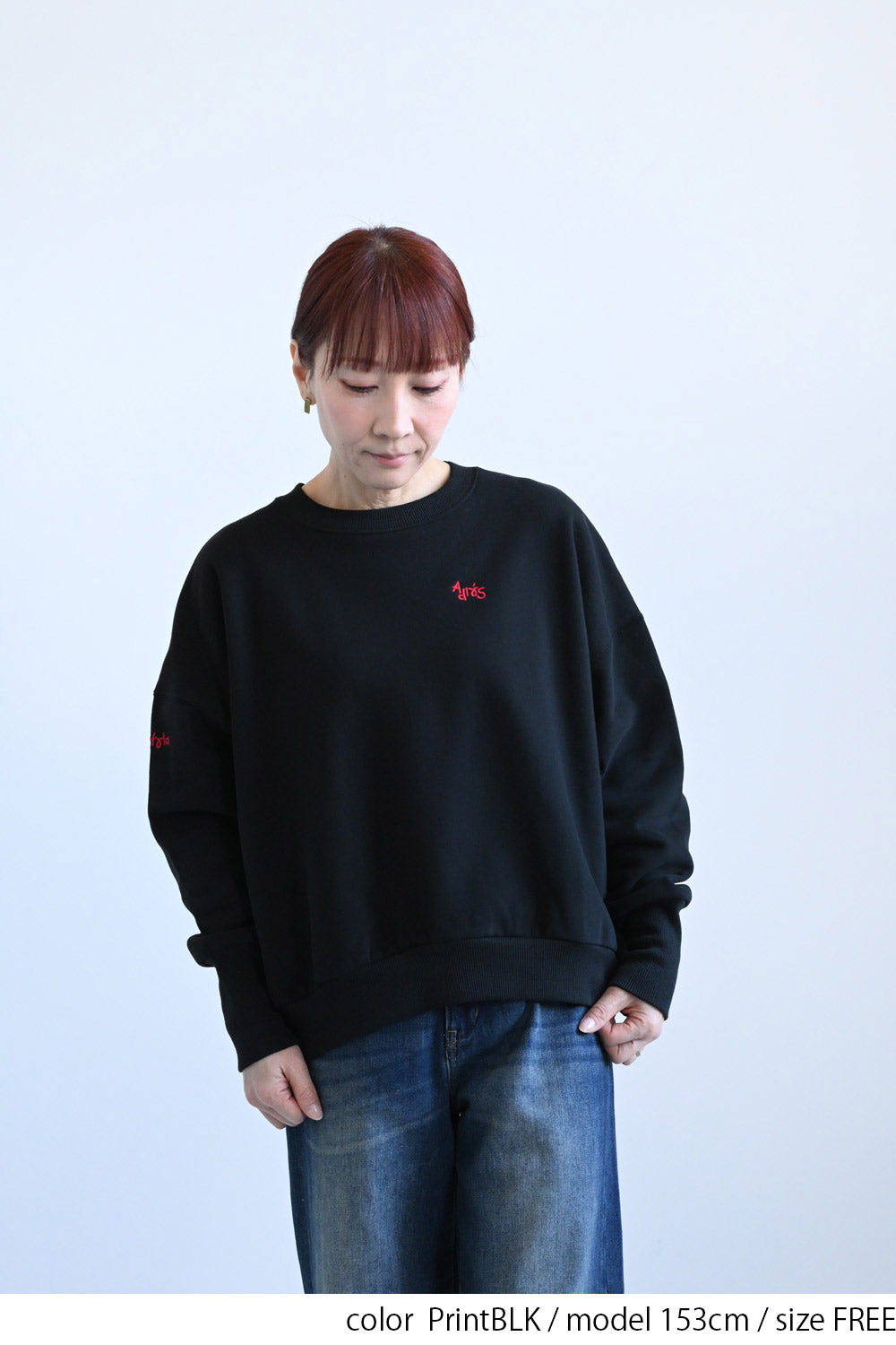 ≪SALE≫Embroidered Brushed Pullover