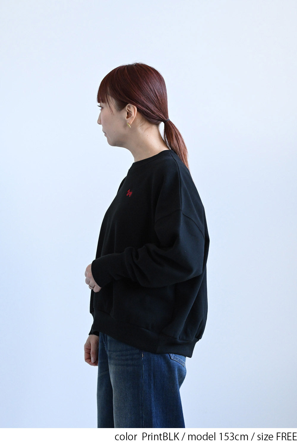 ≪SALE≫Embroidered Brushed Pullover