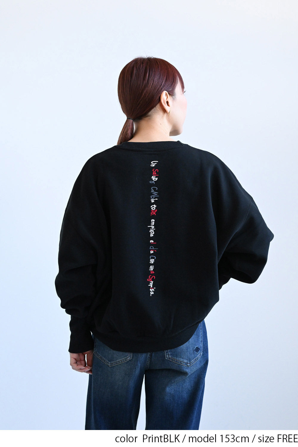 ≪SALE≫Embroidered Brushed Pullover