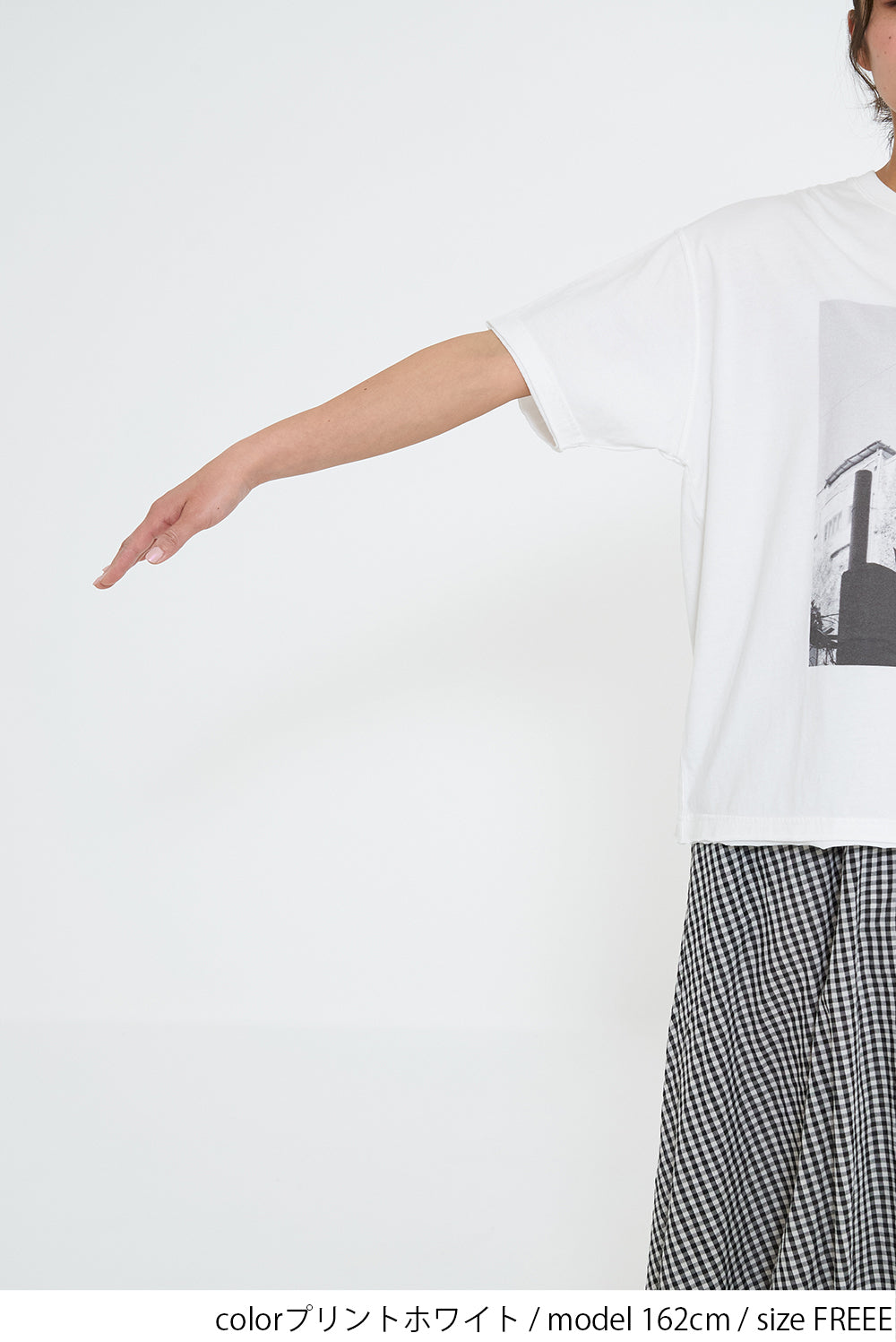 Cat Photo T-Shirt