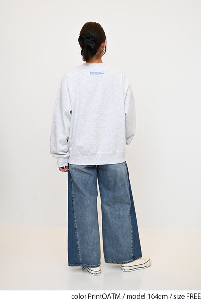 裏起毛フロッキーロゴプルオーバー