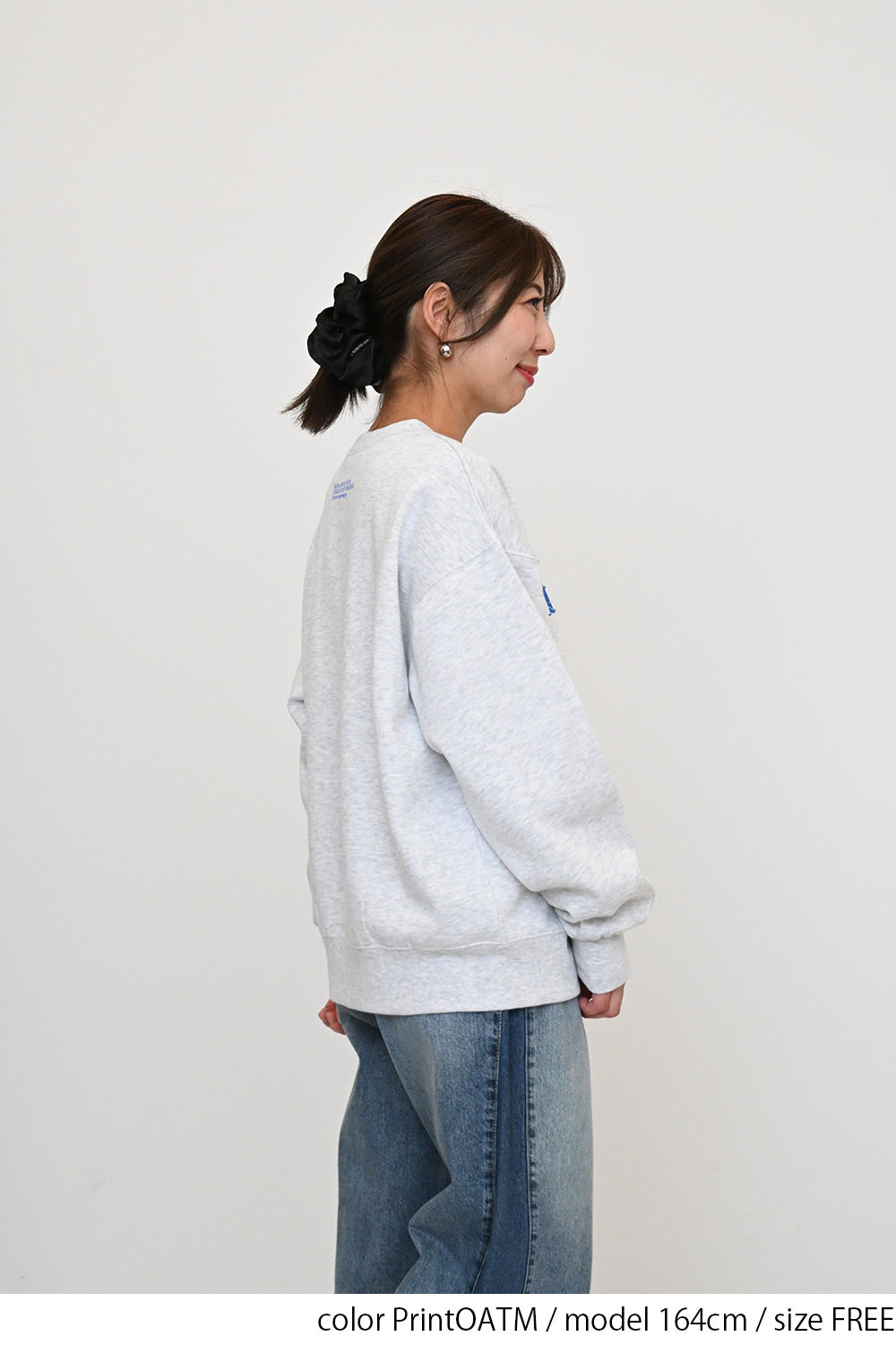 裏起毛フロッキーロゴプルオーバー