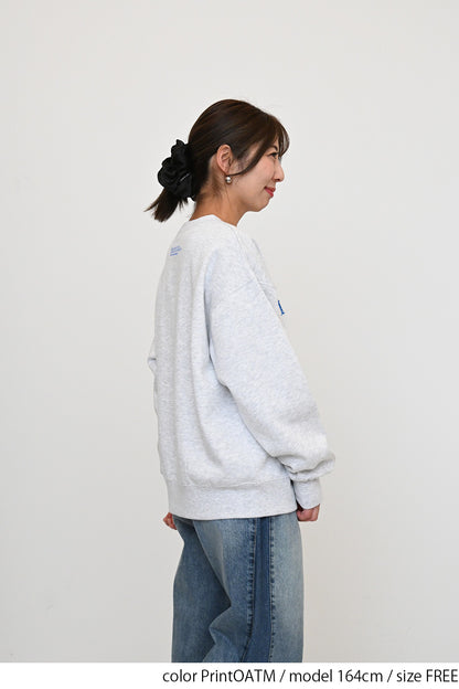 裏起毛フロッキーロゴプルオーバー