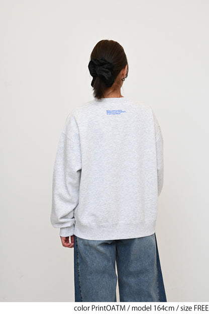 裏起毛フロッキーロゴプルオーバー