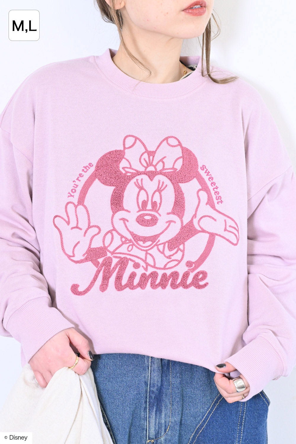大判ファブリックHRM×Disney ハリウッドランチマーケット ディズニー