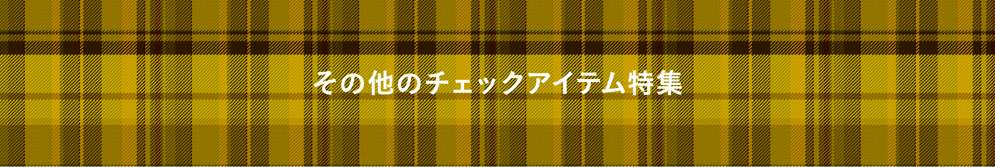 その他のチェックアイテム特集