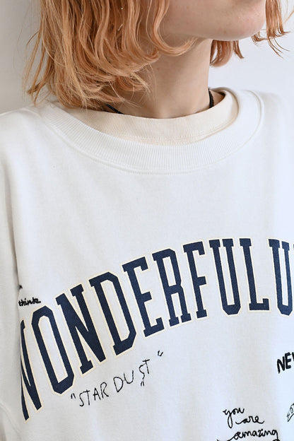 カレッジ色々刺繍ジップ付プルオーバー
