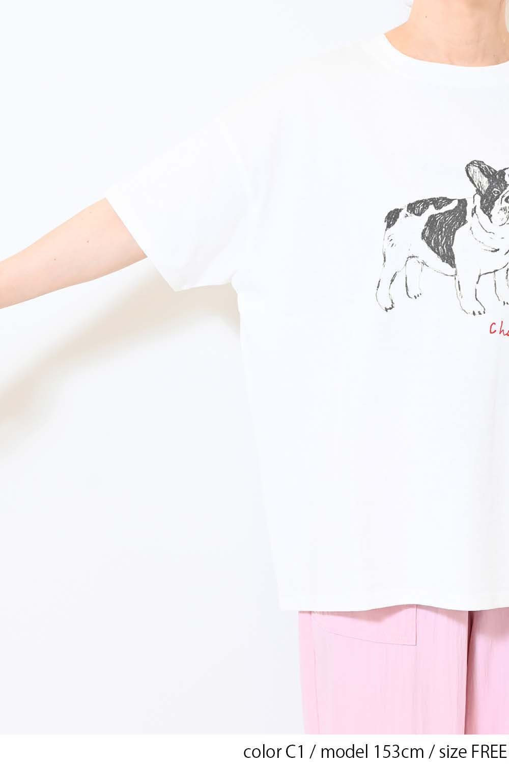 C1 / 153cm / FREE