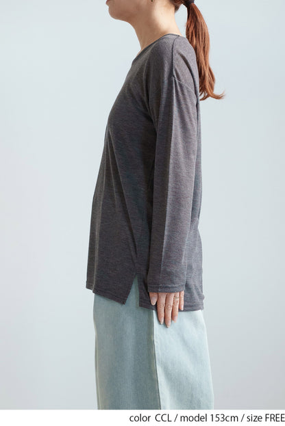 Sheer Ribbed Asymmetric Neck Long Sleeve Tee
