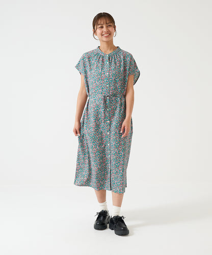 French Sleeve Dress
