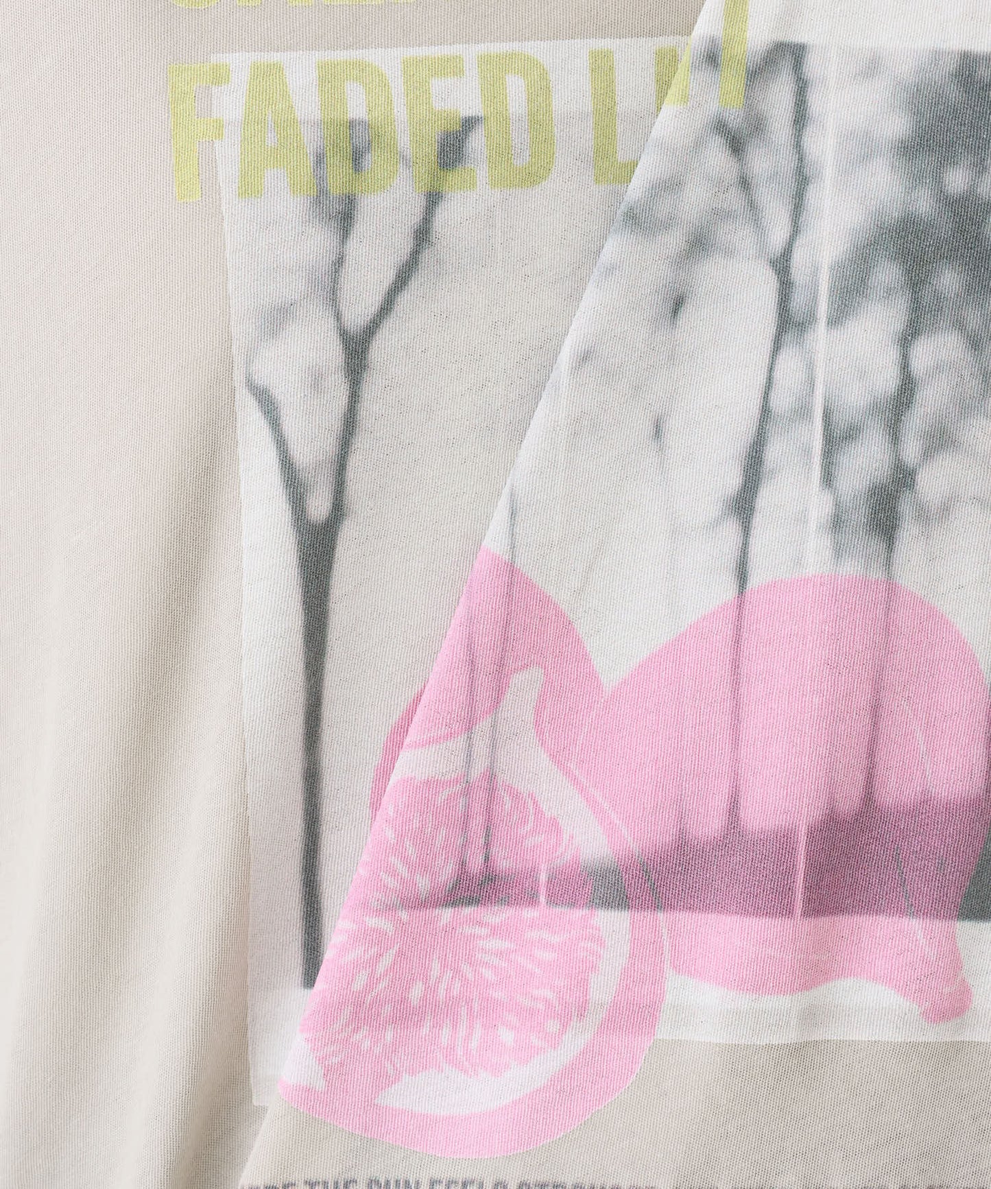 《近日発売》figフォトT
