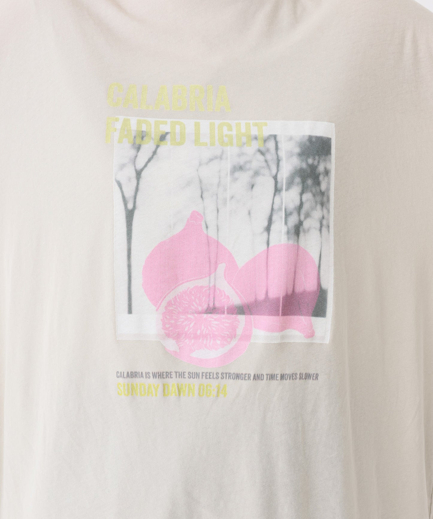 《近日発売》figフォトT
