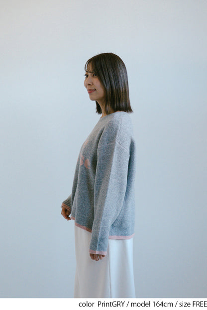 ≪SALE≫Soft Jacquard Logo Pullover